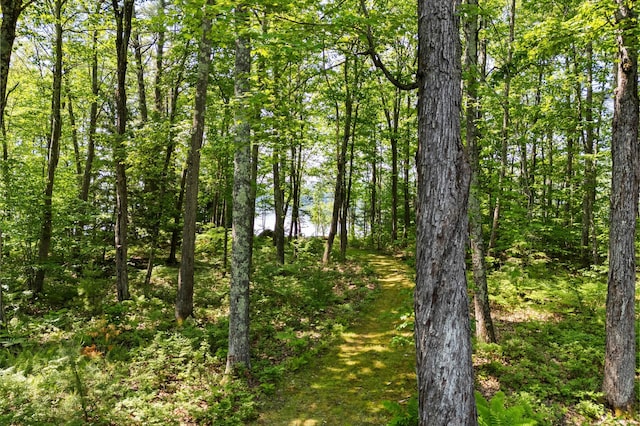 21 Jones Dr, Hartford, ME 04220 - view of woods