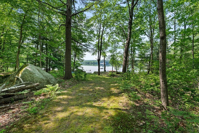 21 Jones Dr, Hartford, ME 04220 - view of yard with a water view