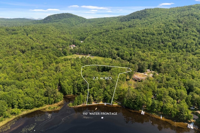 21 Jones Dr, Hartford, ME 04220 - view of property location with a water and mountain view and property parcel outlined