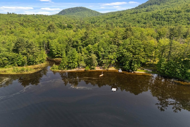 21 Jones Dr, Hartford, ME 04220 - bird's eye view of a heavily wooded area and a water and mountain view