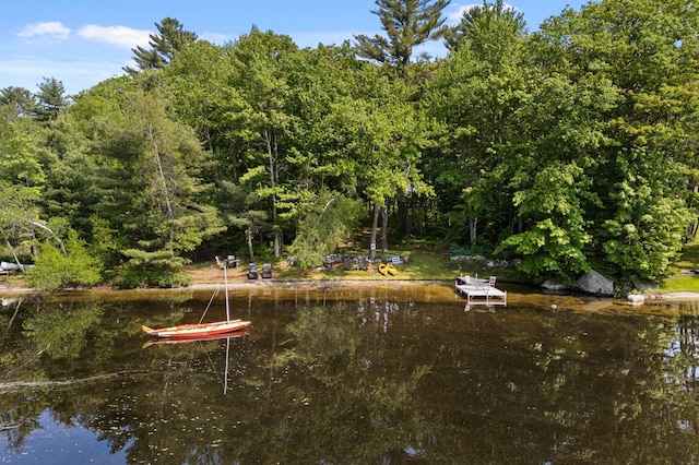 21 Jones Dr, Hartford, ME 04220 - water view featuring a heavily wooded area