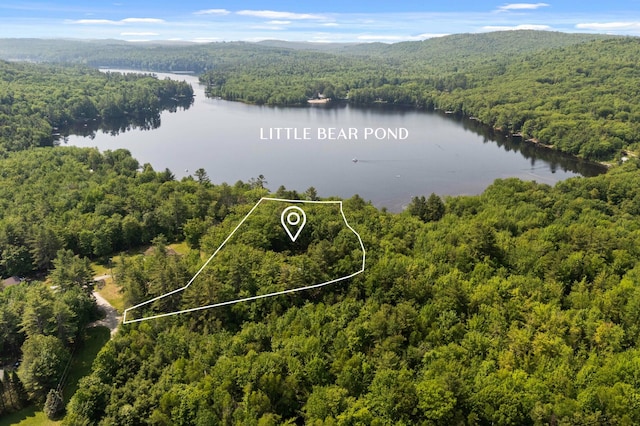 21 Jones Dr, Hartford, ME 04220 - aerial view of property and surrounding area with a large body of water and property boundaries highlighted