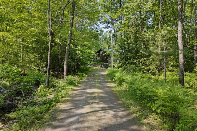 21 Jones Dr, Hartford, ME 04220 - view of dirt / gravel driveway with a forest view