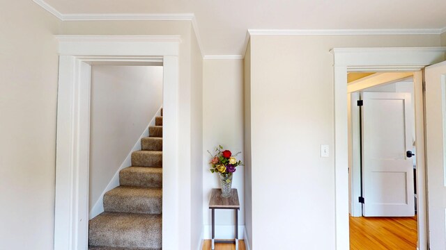 247 Silver Rd, Bangor, ME 04401 - photo 36