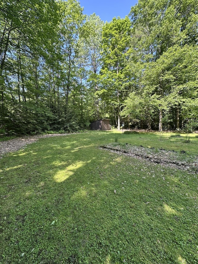 15 Balsam Ln, Naples, ME 04055 - view of green lawn