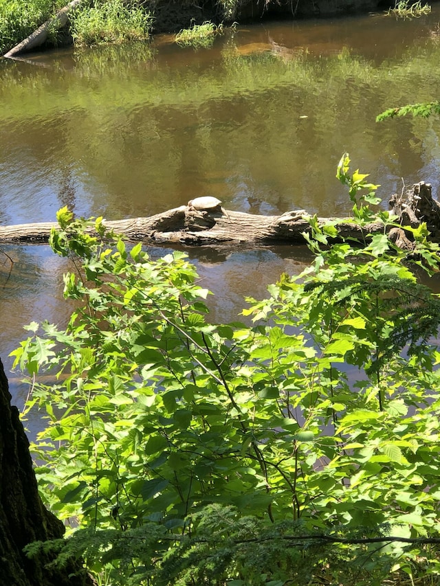 171 Fisher Rd, Monroe, ME 04951 - photo 3