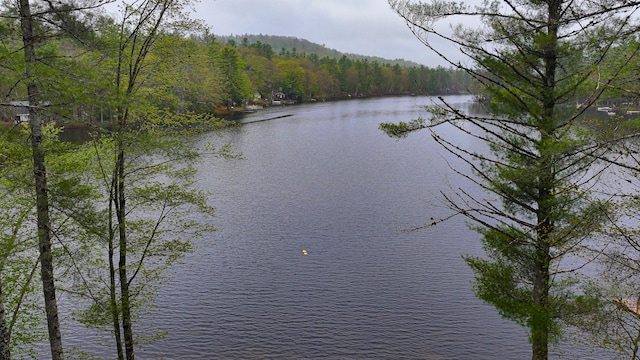 110 Indian Point Dr, Denmark, ME 04022 - water view featuring a forest
