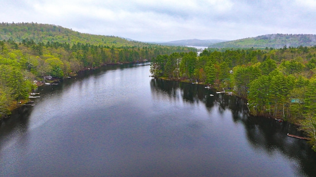 110 Indian Point Dr, Denmark, ME 04022 - water view featuring a forest and a mountainous background
