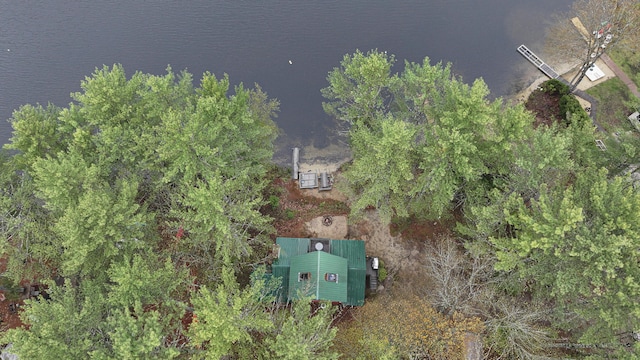 110 Indian Point Dr, Denmark, ME 04022 - view from above of property