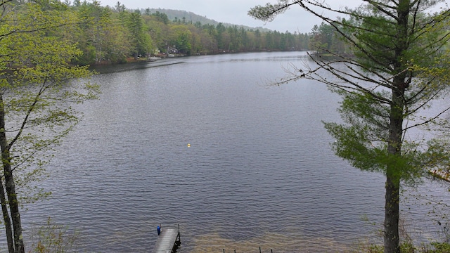 110 Indian Point Dr, Denmark, ME 04022 - water view featuring a forest