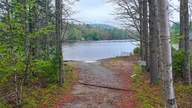 110 Indian Point Dr, Denmark, ME 04022 - water view with a forest