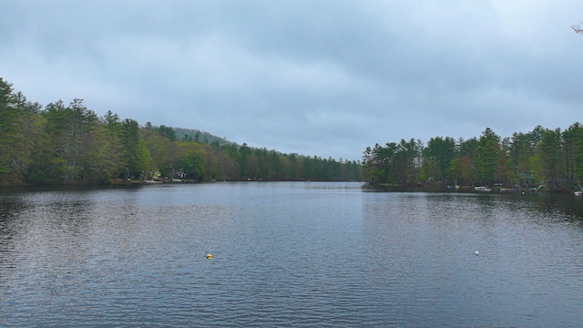 110 Indian Point Dr, Denmark, ME 04022 - water view featuring a heavily wooded area