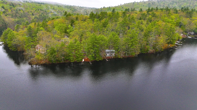 110 Indian Point Dr, Denmark, ME 04022 - bird's eye view of a forest and a large body of water
