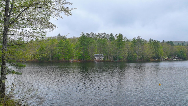 110 Indian Point Dr, Denmark, ME 04022 - water view with a forest