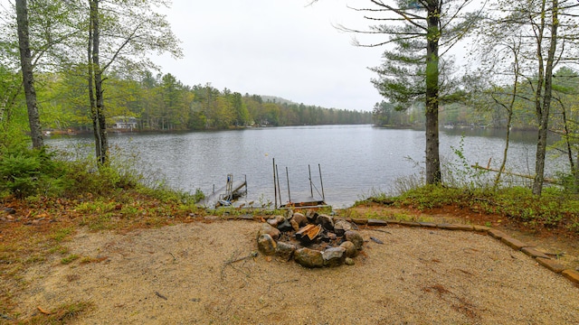 110 Indian Point Dr, Denmark, ME 04022 - water view featuring a forest and a boat dock