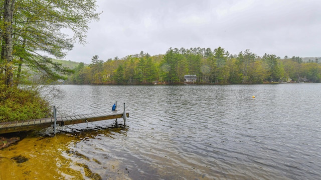 110 Indian Point Dr, Denmark, ME 04022 - dock with a water view and a forest view