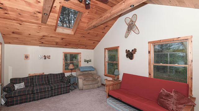 110 Indian Point Dr, Denmark, ME 04022 - living area featuring carpet floors, a skylight, wooden ceiling with exposed beams, high vaulted ceiling, and plenty of natural light