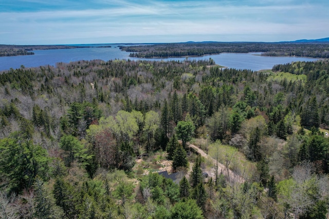 12 Bakers Pt, Steuben, ME 04680 - aerial overview of property's location featuring a forest and a nearby body of water