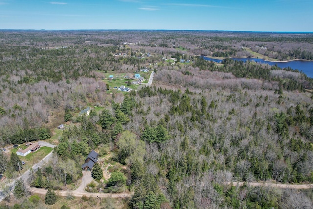 12 Bakers Pt, Steuben, ME 04680 - view of property location featuring a heavily wooded area and a nearby body of water