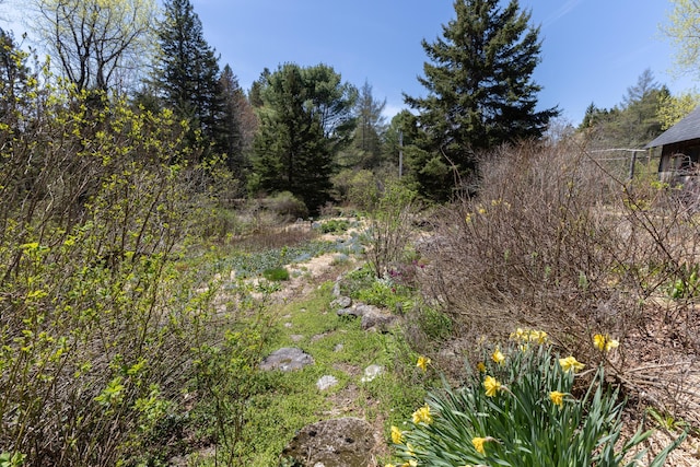 12 Bakers Pt, Steuben, ME 04680 - view of nature