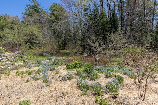 12 Bakers Pt, Steuben, ME 04680 - view of undeveloped land