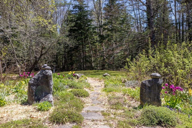 12 Bakers Pt, Steuben, ME 04680 - view of yard with a forest view