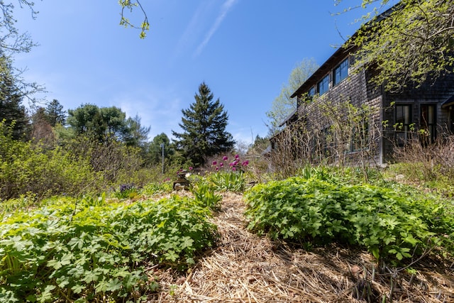 12 Bakers Pt, Steuben, ME 04680 - view of yard with a vegetable garden