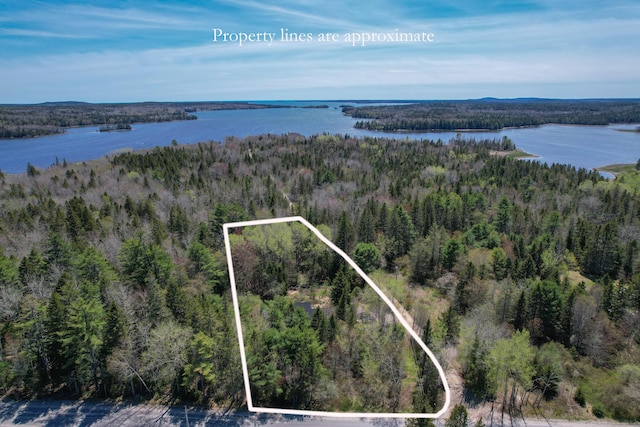 12 Bakers Pt, Steuben, ME 04680 - aerial view of property's location with property parcel outlined and a large body of water