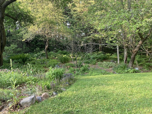 12 Bakers Pt, Steuben, ME 04680 - view of yard