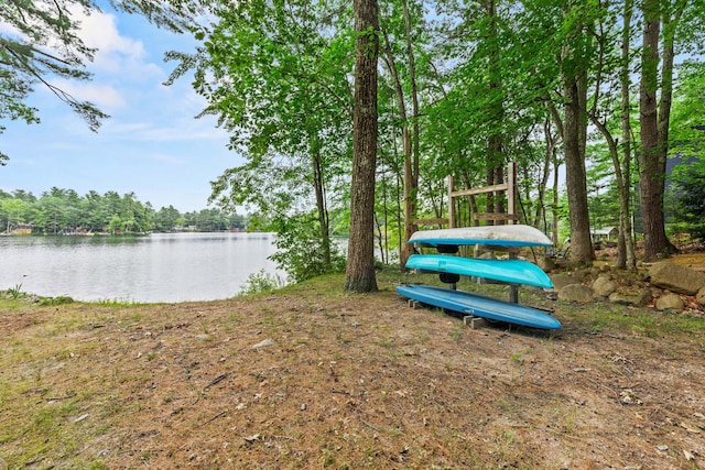 6 Bates Ln, Windham, ME 04062 - photo 39