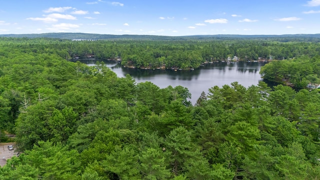 6 Bates Ln, Windham, ME 04062 - photo 42