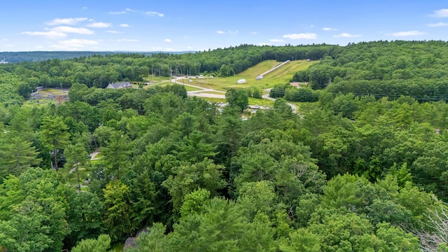 6 Bates Ln, Windham, ME 04062 - photo 43