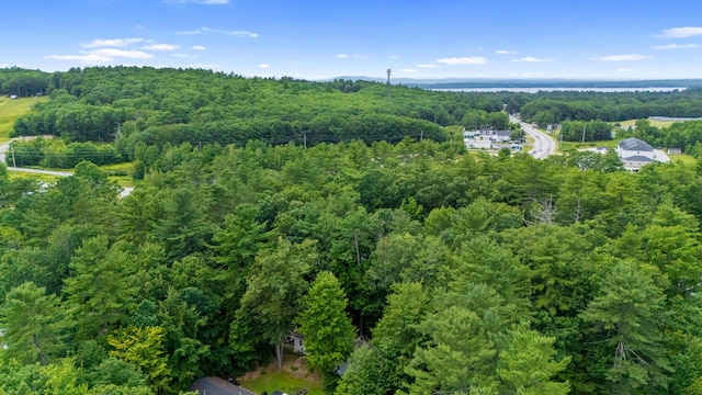 6 Bates Ln, Windham, ME 04062 - photo 44