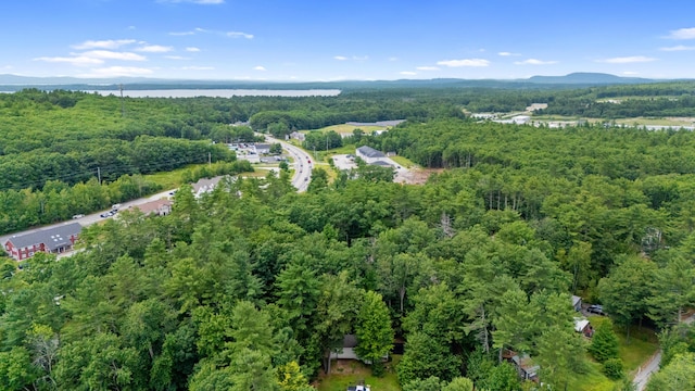 6 Bates Ln, Windham, ME 04062 - photo 45