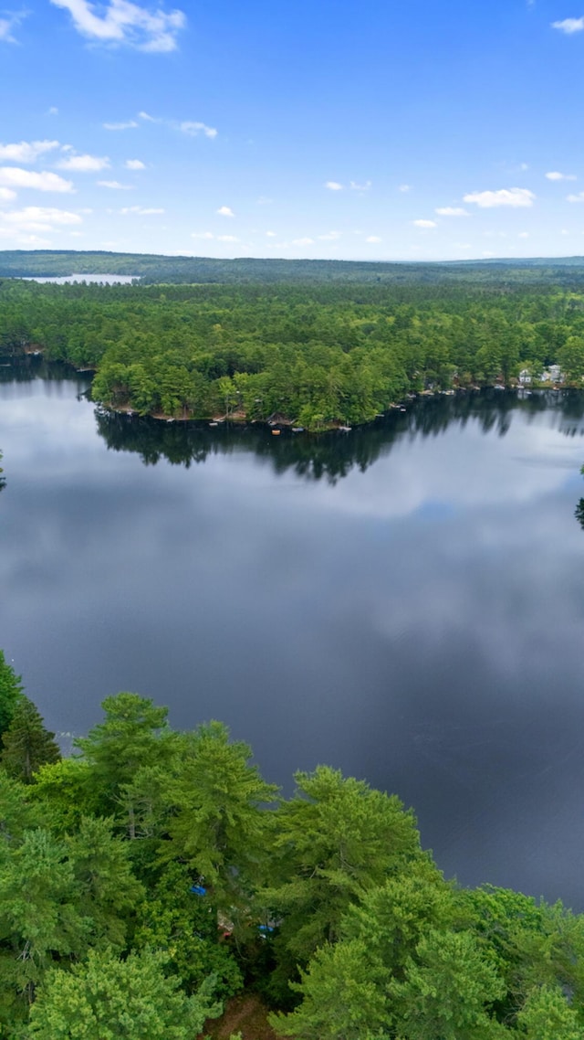6 Bates Ln, Windham, ME 04062 - photo 41