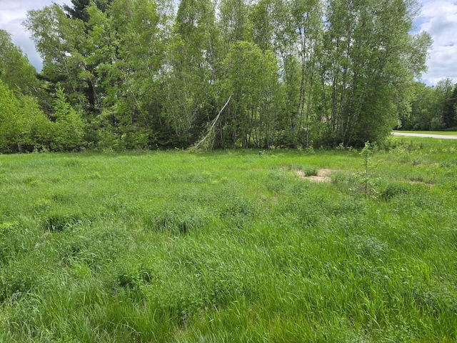 291 Pea Ridge Rd, Chester, ME 04457 - view of woods