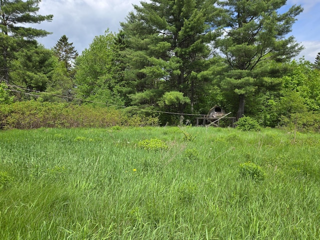 291 Pea Ridge Rd, Chester, ME 04457 - view of undeveloped land