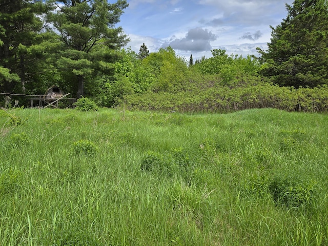 291 Pea Ridge Rd, Chester, ME 04457 - view of undeveloped land