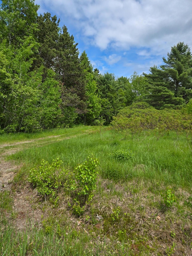 291 Pea Ridge Rd, Chester, ME 04457 - view of wooded area