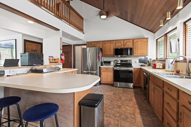 2 Flynn Rd, Raymond, ME 04071 - kitchen with stainless steel appliances, a sink, a kitchen bar, light countertops, and high vaulted ceiling