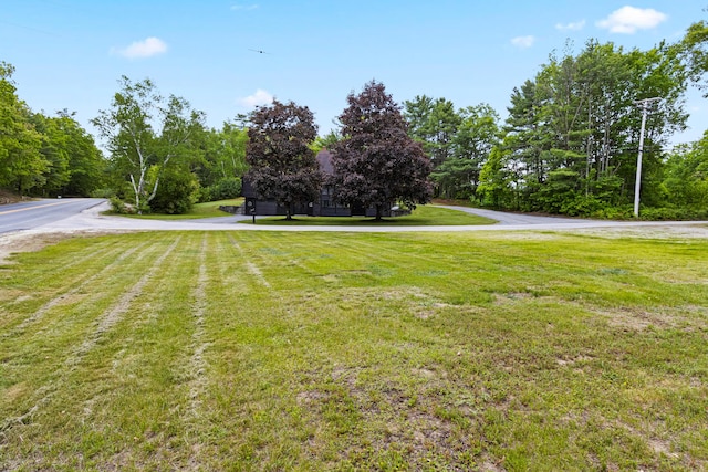 2 Flynn Rd, Raymond, ME 04071 - view of grassy yard
