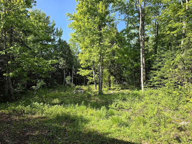 119 Burnham Hill Rd, Freedom, ME 04941 - photo 27