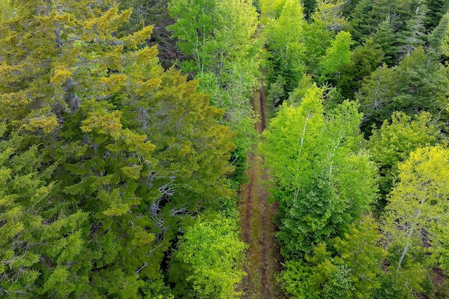 126 Point St, Columbia Falls, ME 04623