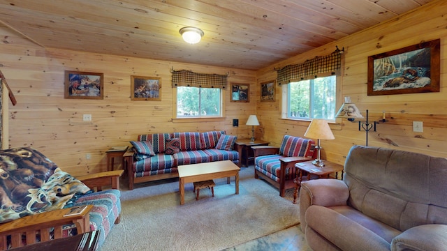 168 W Tucker Ridge Rd, Springfield, ME 04487 - living room with wood walls and wooden ceiling