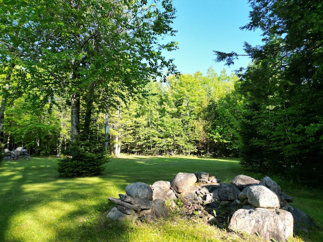 168 W Tucker Ridge Rd, Springfield, ME 04487 - view of green lawn featuring a wooded view