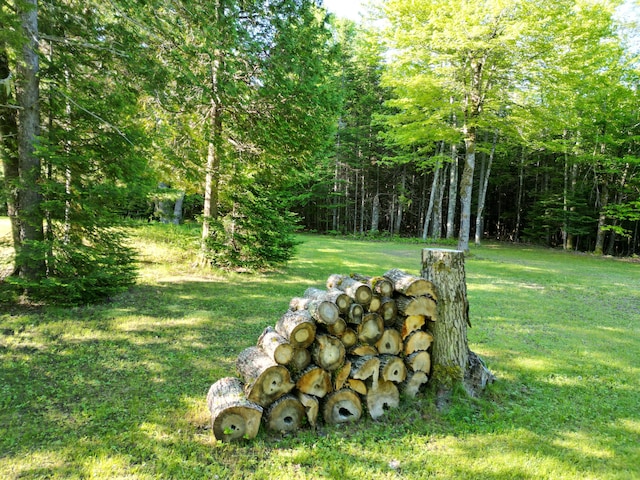 168 W Tucker Ridge Rd, Springfield, ME 04487 - view of green lawn with a view of trees