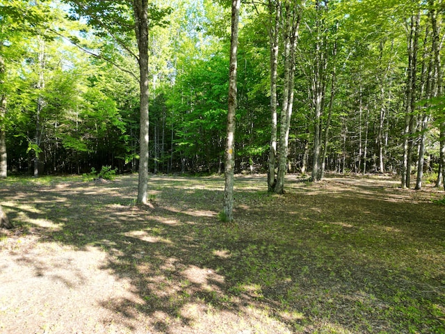 168 W Tucker Ridge Rd, Springfield, ME 04487 - view of yard with a wooded view