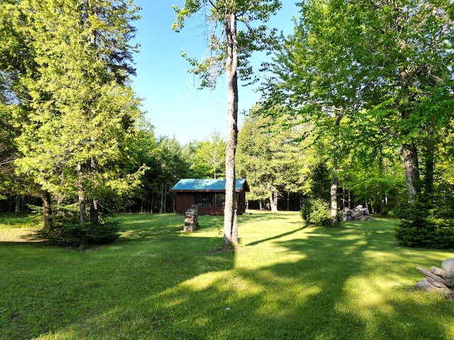 168 W Tucker Ridge Rd, Springfield, ME 04487 - view of green lawn