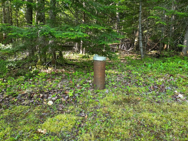 168 W Tucker Ridge Rd, Springfield, ME 04487 - exterior view