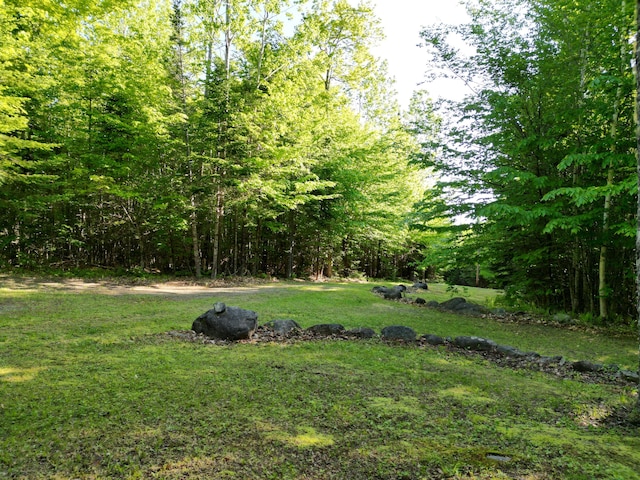 168 W Tucker Ridge Rd, Springfield, ME 04487 - view of grassy yard with a wooded view